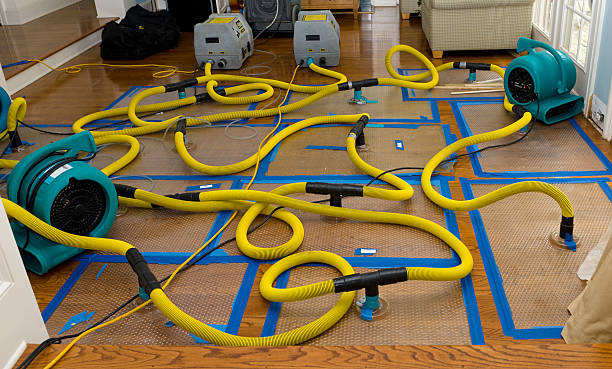 Professional Sewage Cleanup technician working in Royalston, MA